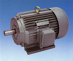 induction motor ac melco pem phase name